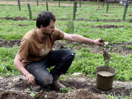 Le conseil du jardinier