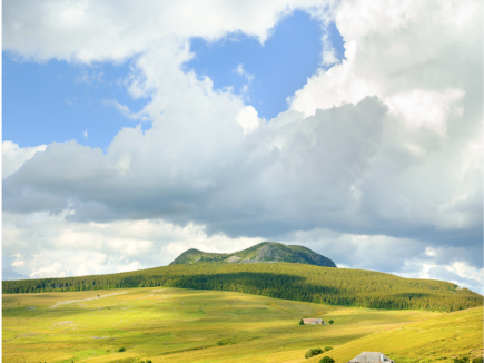 Comment ne pas se planter de destinée ou trouver celle des 10 prochaines années