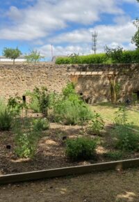 Ateliers botaniques contée