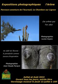 Expositions photographiques sur le Thème de l’arbre