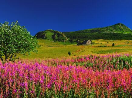 Visite d’une MAISON à CHAUDEYROLLES