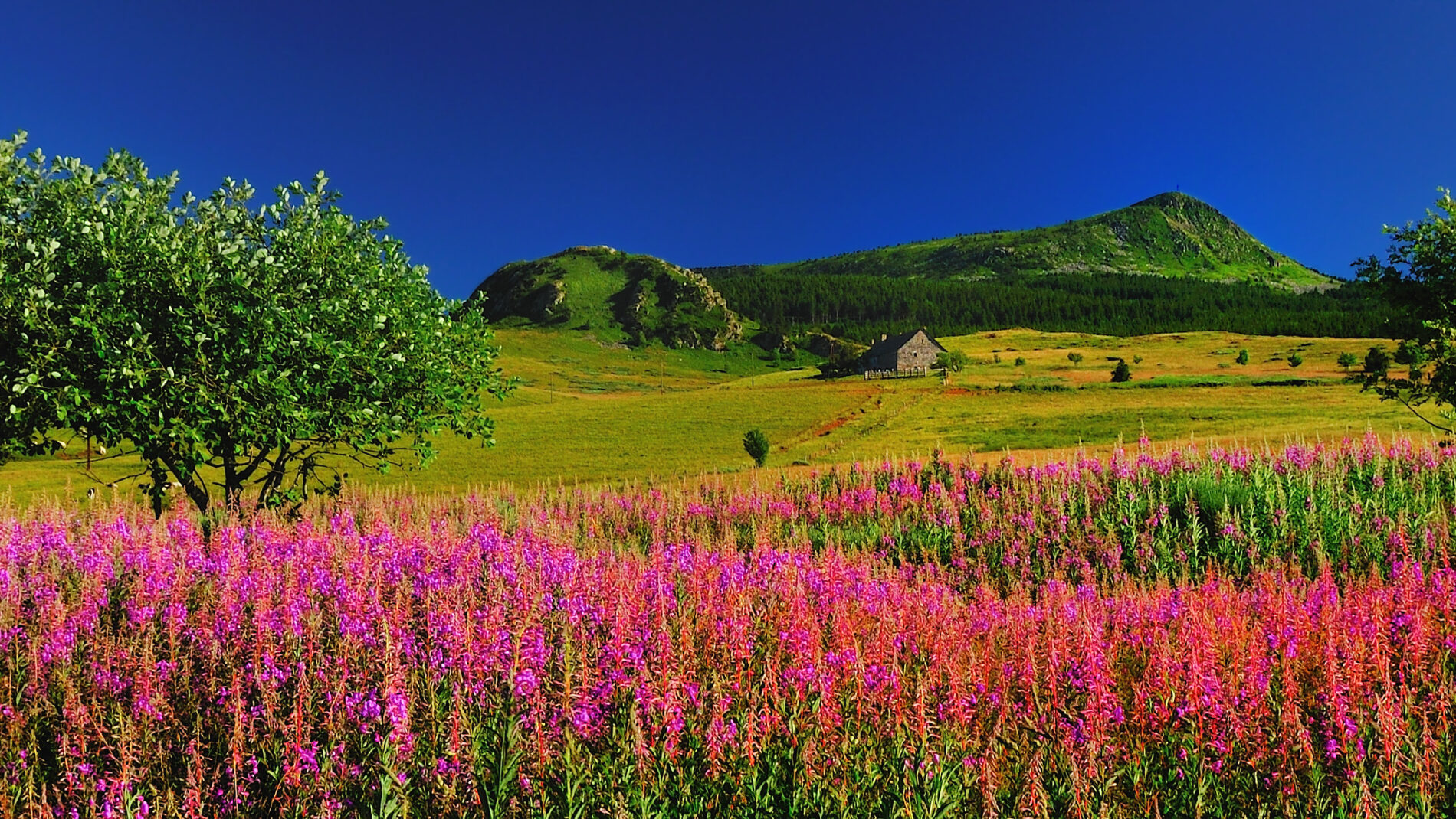vue sur le mezenc depuis Chaudeyrolles