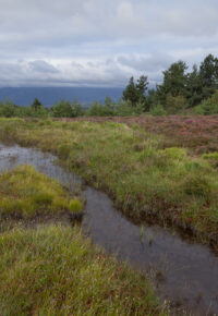 La fête des tourbières