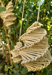 Balade et vannerie sauvage