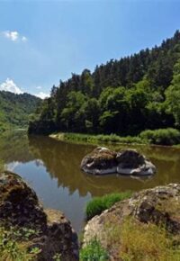 « La vie en bords de Loire » Flore, faune, histoires… (Monistrol sur Loire, Haute-Loire)