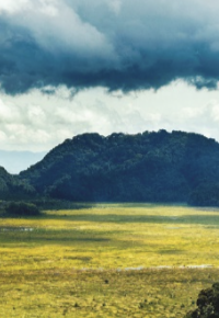 CONFÉRENCES EN SÉRIE / MUSEE CROZATIER