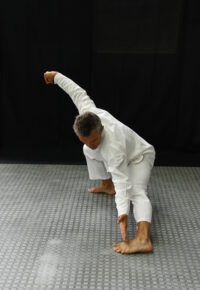 STAGE DECOUVERTE ART DU CHI Méthode Stévanovitch (tai chi -qi gong- relaxation)