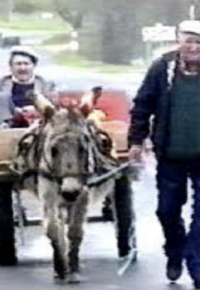 courts métrages « Ecran Local »