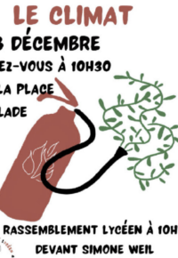 marche pour le climat