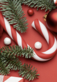 Marché de Noël de Germinal