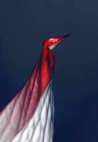 Le Beau dans l’infime et le rien à Saint Etienne