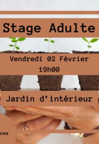 Atelier d’art floral Adulte