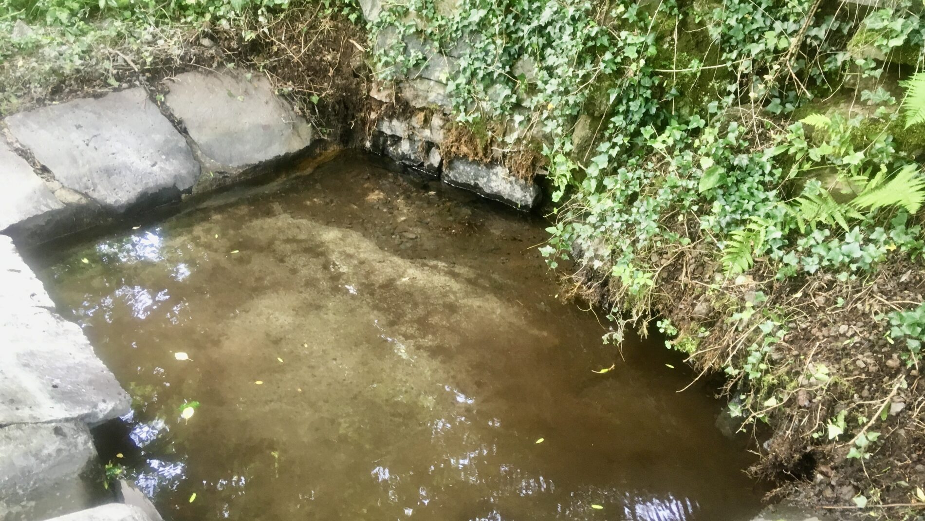 le lavoir perdu de la roche