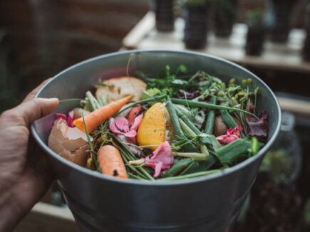 BIODÉCHETS le tri à la source