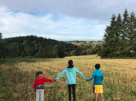 Habitat PARTICIPATIF