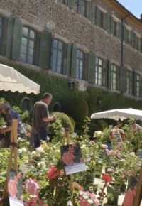 Fête des Plantes 2024