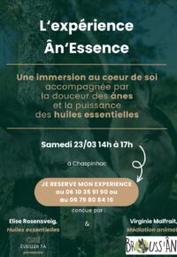 Médiation animale et huiles essentielles : l&rsquo;expérience Ân&rsquo;Essence : une immersion au coeur de soi