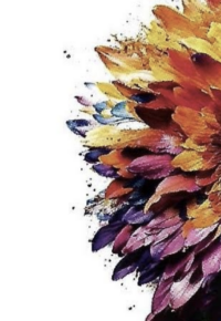 Art’Terre du Bourg