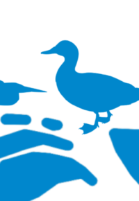 Accueil aux étangs de Bas-en-Basset