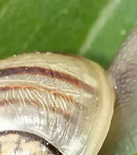 Journée portes ouvertes au Jardin de Taulhac