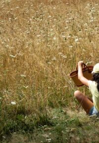 Distillation et herboristerie gourmande