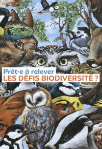 Défi biodiversité du mois