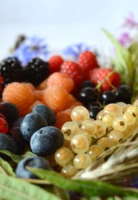 Composition-fruits.jpg