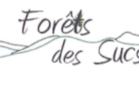 Sortie « Peuplements végétaux en libre évolution »