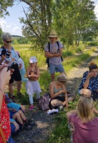 Les plantes de montagne.