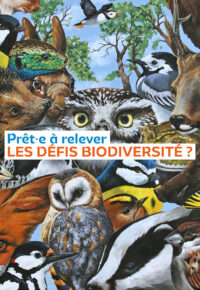 PROGRAMME COQ’LICOTS 2024