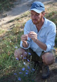 Pharmacie familiale et apéritif avec les plantes sauvages