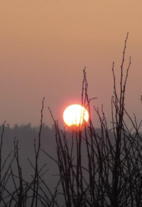GORGES DE LA LOIRE : Animations du 27 juillet 2024