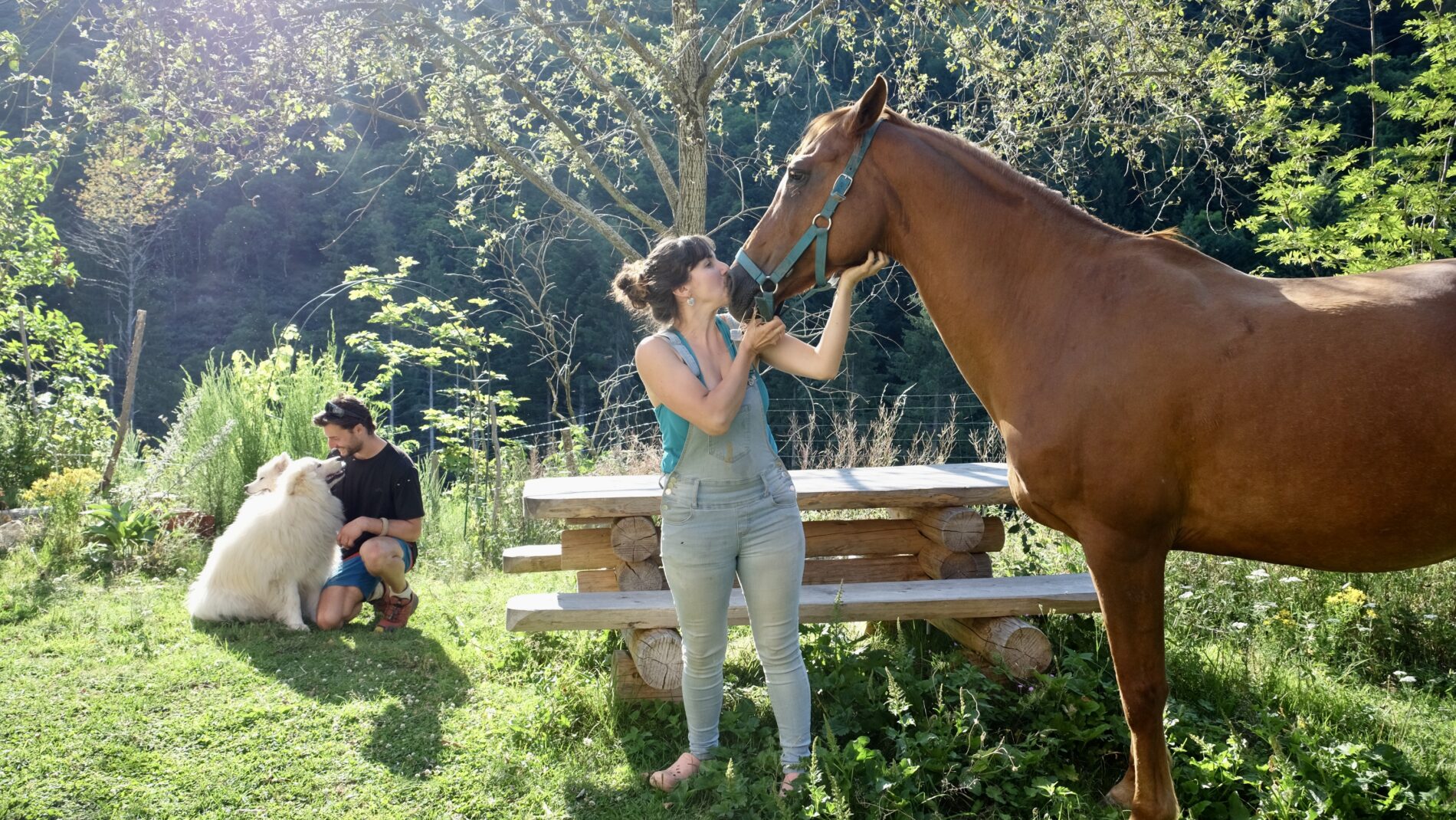 image aux milles étoiles de Sara