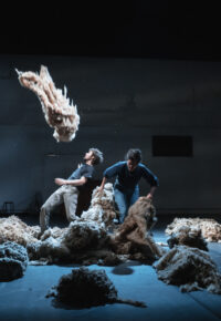 CIE DERNIERE BALEINE