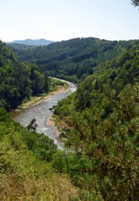 Randonnée bords de Loire et GR3 par le Pont de Beurre