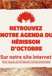 Capture d’écran 2024-10-02 à 16.17.57