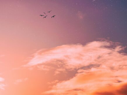 Calendrier lunaire automne 2024