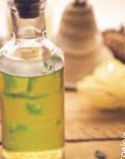 Liqueur à l’Absinthe