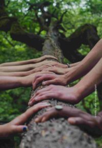 A la rencontre des arbres, à la rencontre de soi – Atelier Immersion Nature Adultes