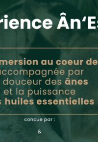 Journée Porte Ouverte « Expérience An&rsquo;Essence »