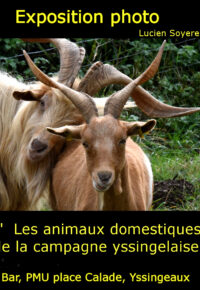 Exposition  photo : « Les animaux domestiques de la campagne yssingelaise »