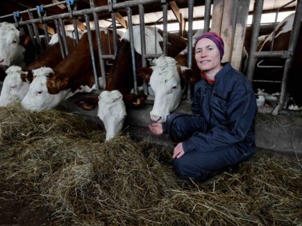 Le lait de montagne de Haute-Loire devient HVE