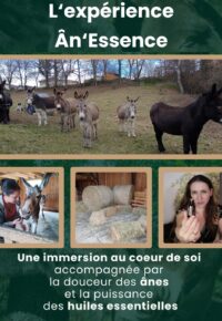 AnEssence-saison-2-1.jpg