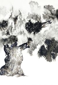 Exposition « Cheminer avec l’arbre », aquarelles de Franck ROLLIER, accompagnés des textes de Bernard FARINELLI