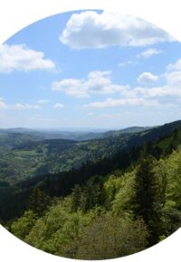 Flânerie naturaliste au-dessus des gorges de l’Allier autour de Saint Jean Lachalm