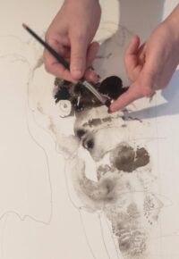 Stage d’aquarelle « Monde sauvage » avec Franck ROLLIER et Serge DI MEO.