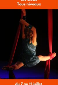 Stages Arts du cirque