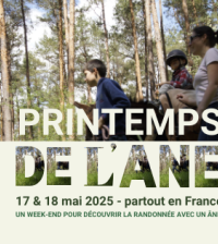 Printemps de l’âne en Haute Loire
