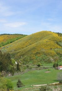 La Croix de Bauzon : l’été prend de l’altitude !