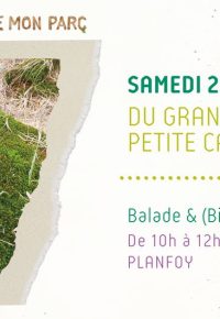 Du grand sapin à la petite canneberge